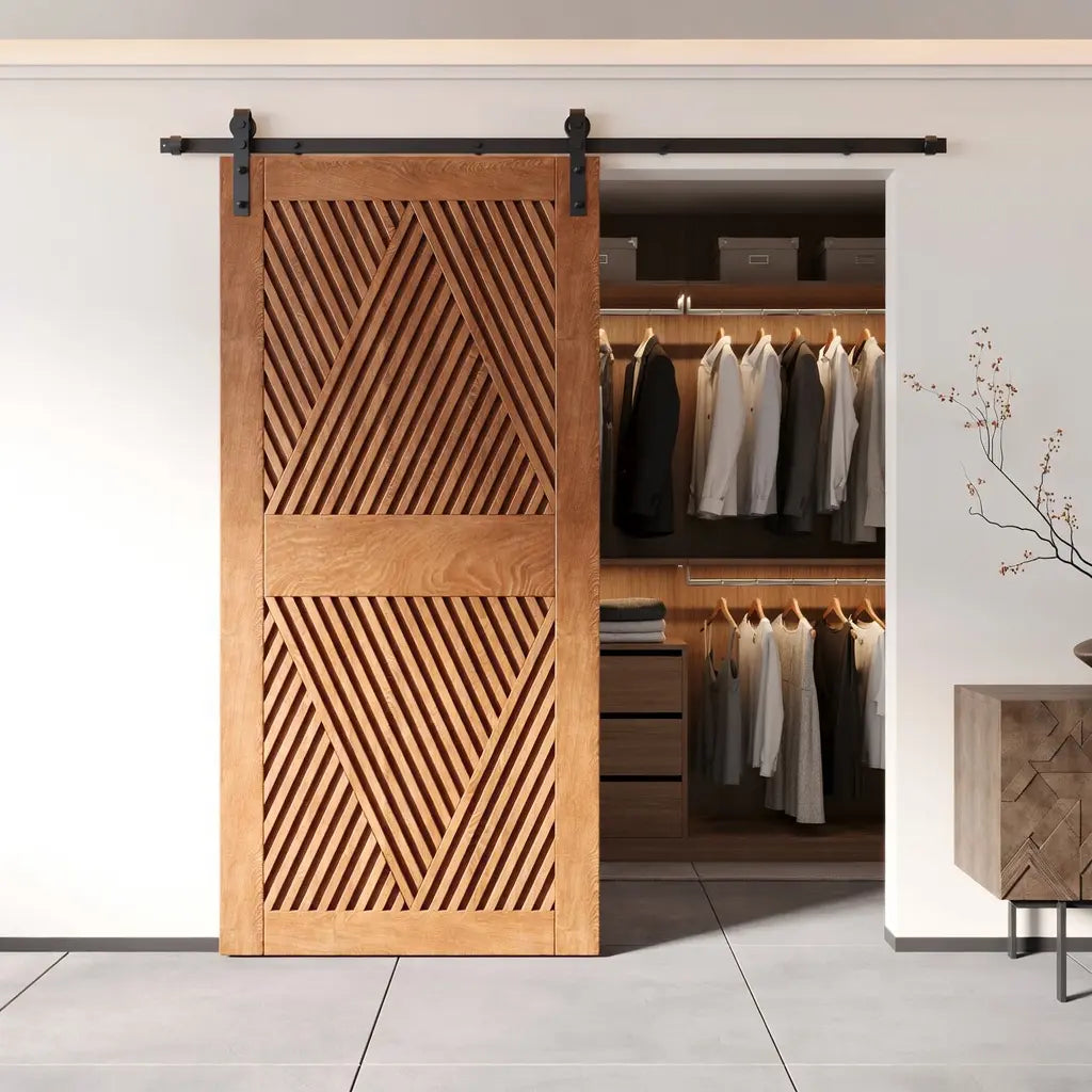 Modern Barn Doors for Closet