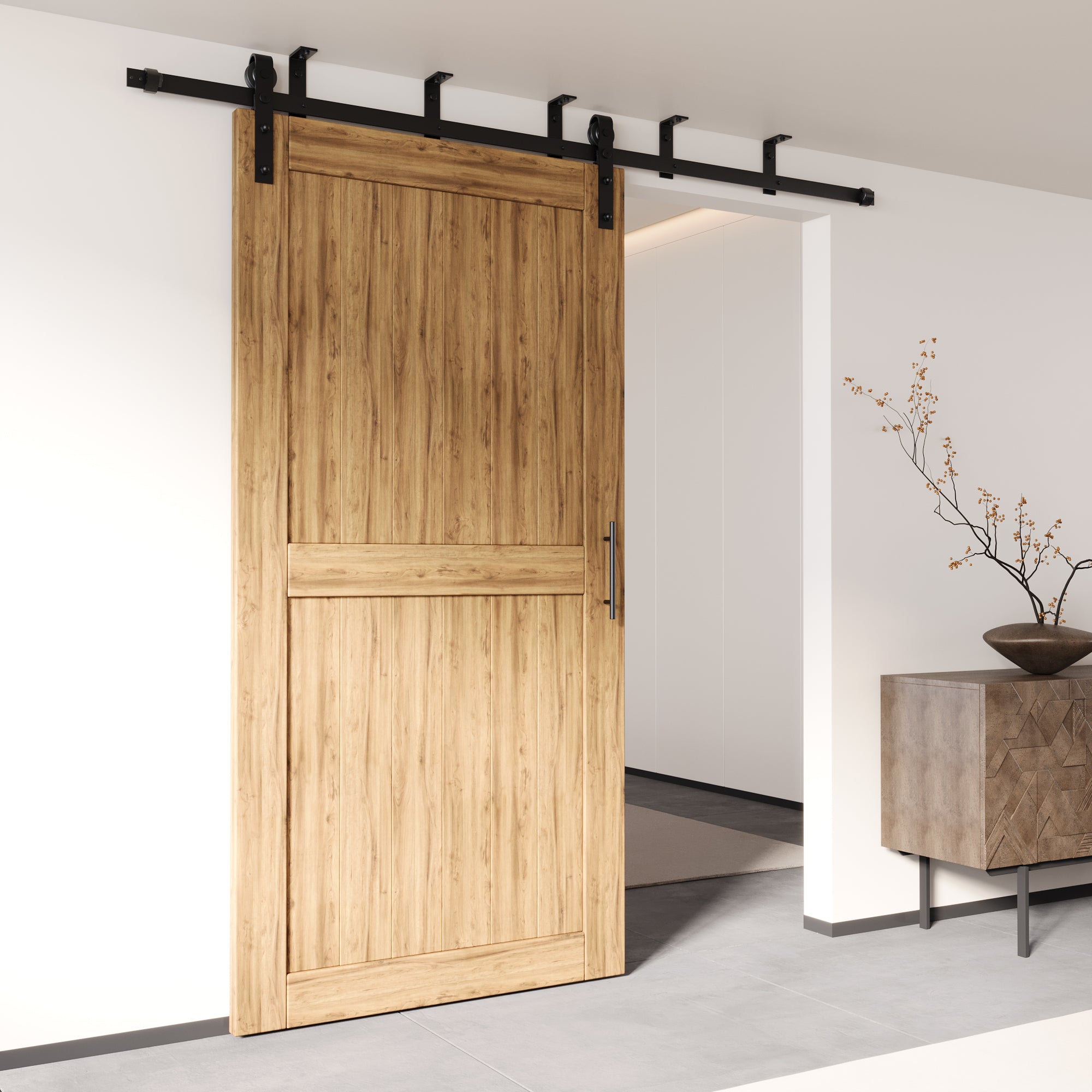 single door barn hardware